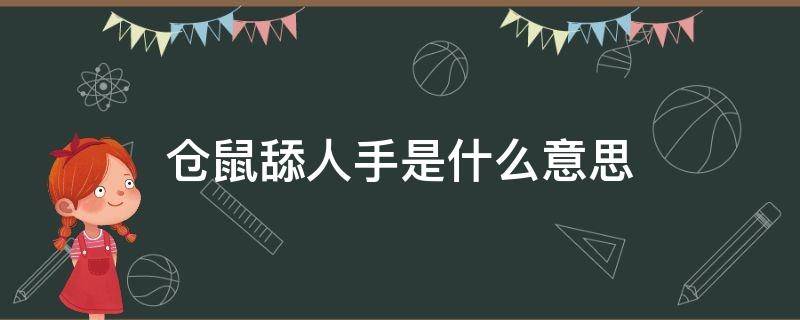 仓鼠舔人手是什么意思（仓鼠舔人是怎么回事）