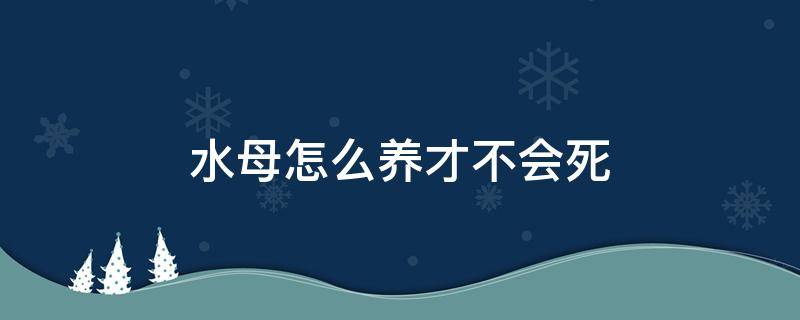 水母怎么养才不会死 水母怎么养