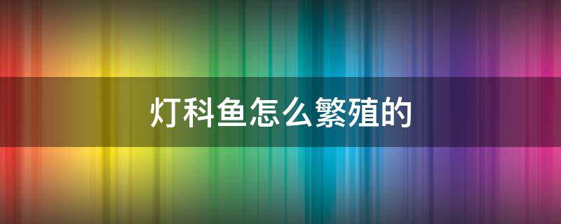 燈科魚怎么繁殖的 哪些燈科魚是可以自我繁殖的