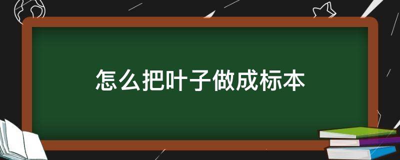 怎么把叶子做成标本（制作叶子标本的方法）