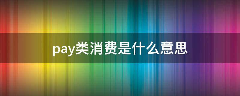 pay類消費是什么意思 pay類消費是什么意思?