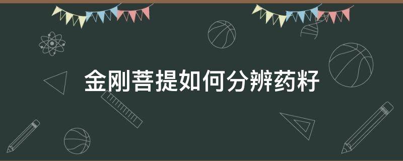 金刚菩提如何分辨药籽 金刚菩提打药籽是什么