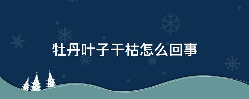 牡丹葉子干枯怎么回事（牡丹葉子發(fā)黃干枯怎么回事）