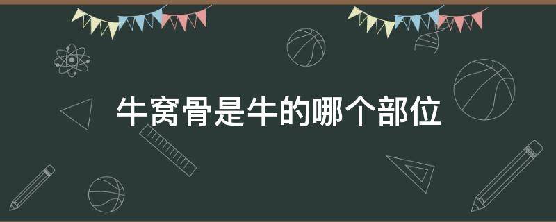 牛窩骨是牛的哪個(gè)部位（牛窩骨是牛的哪個(gè)部位圖片）