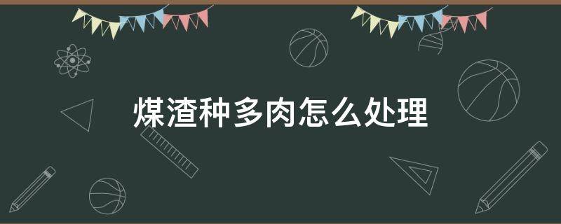 煤渣種多肉怎么處理（煤球渣種多肉怎么處理）