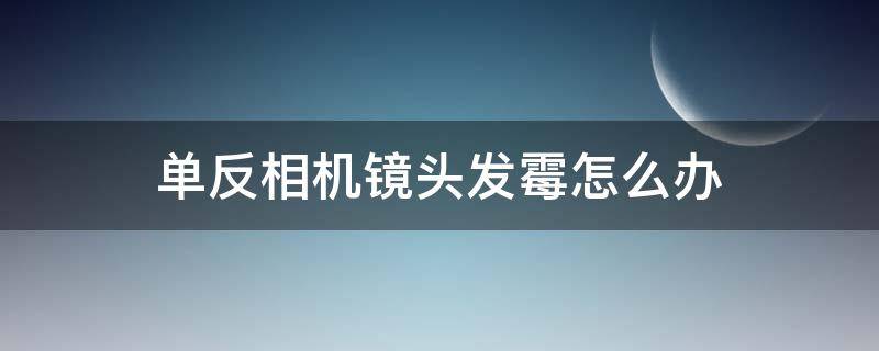 单反相机镜头发霉怎么办（单反相机镜头发霉了怎么办）