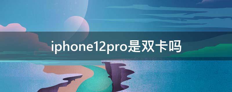 iphone12pro是双卡吗（美版iphone12pro是双卡吗）