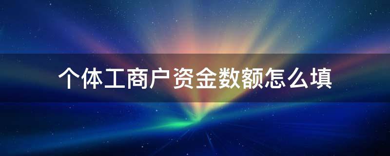 个体工商户资金数额怎么填 个体工商户资金数额怎么填写