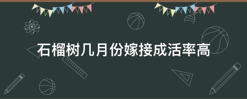 石榴树几月份嫁接成活率高 石榴树几月份移栽成活率高