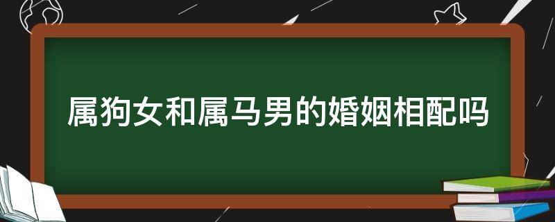 屬狗女和屬馬男的婚姻相配嗎（屬馬男跟屬狗女的婚姻相配嗎）