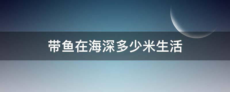 帶魚在海深多少米生活 帶魚在海深多少米生活吃什么