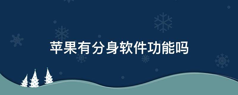 苹果有分身软件功能吗（苹果可以使用软件分身吗）