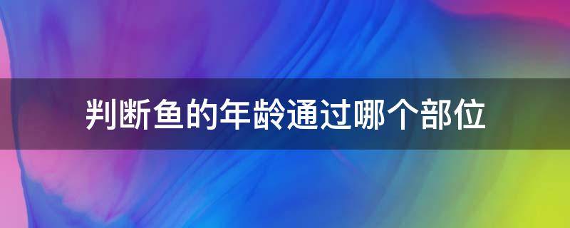 判断鱼的年龄通过哪个部位 科学家判断鱼的年龄通过哪个部位