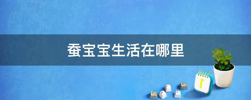 蚕宝宝生活在哪里 蚕宝宝生活在什么地方