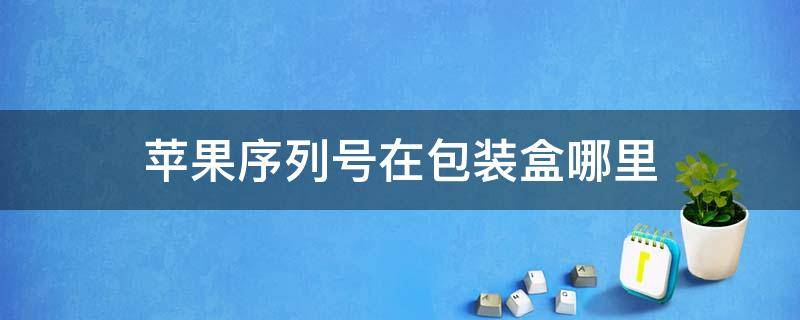 苹果序列号在包装盒哪里 苹果手机包装盒的序列号在哪