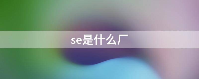 se是什么厂（工厂se是什么意思）