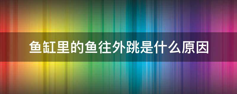 鱼缸里的鱼往外跳是什么原因（鱼在缸里往外跳怎么回事）