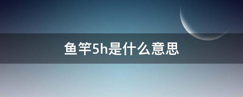 鱼竿5h是什么意思（鱼竿5H是啥意思）