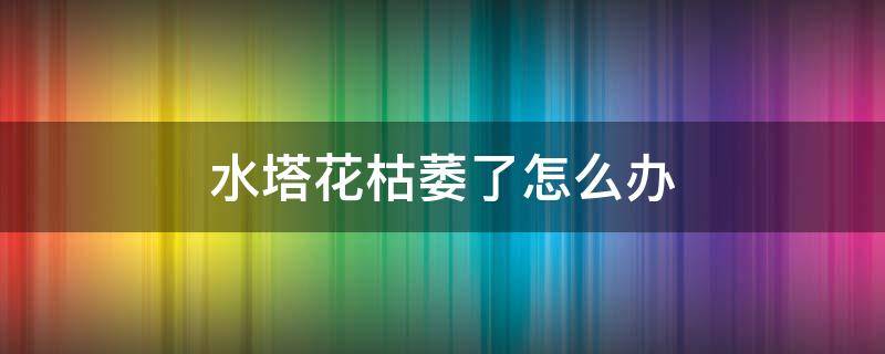 水塔花枯萎了怎么辦 水塔花葉子枯萎怎么救回來