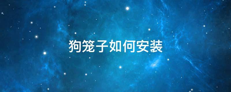 狗笼子如何安装 狗笼怎么安装