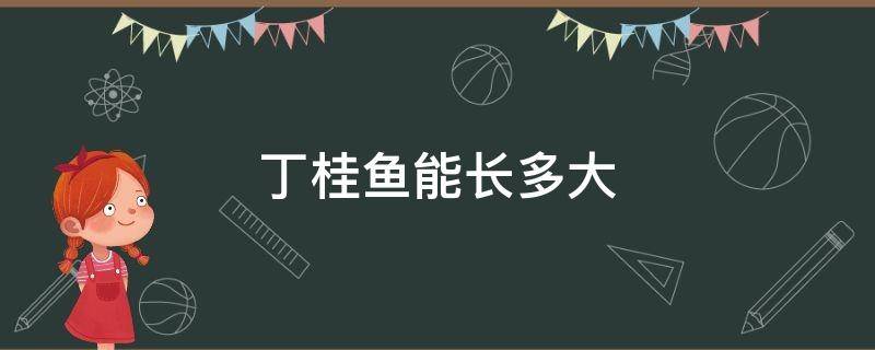 丁桂鱼能长多大 丁桂鱼长得快不快