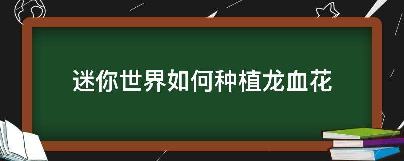 迷你世界如何种植龙血花 迷你世界龙血树怎么种植