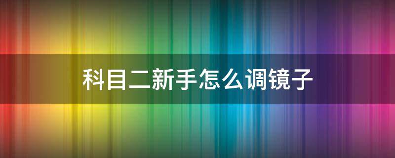 科目二新手怎么调镜子（科目二新手怎么调镜子图解）