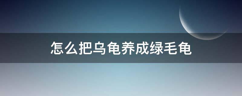 怎么把烏龜養(yǎng)成綠毛龜 怎么把草龜養(yǎng)成綠毛龜