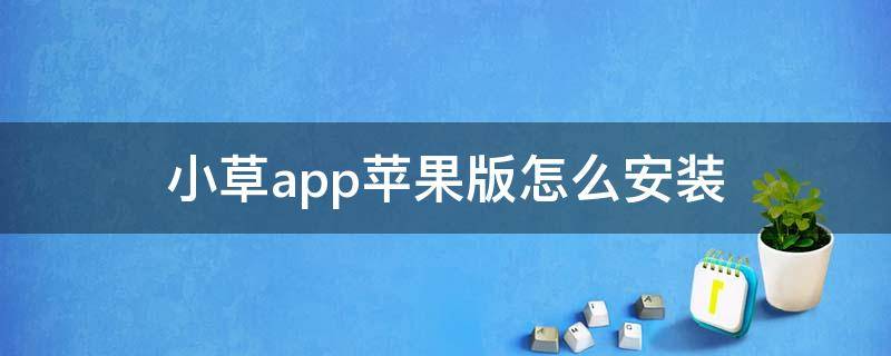 小草app蘋果版怎么安裝 蘋果小草app安裝教程