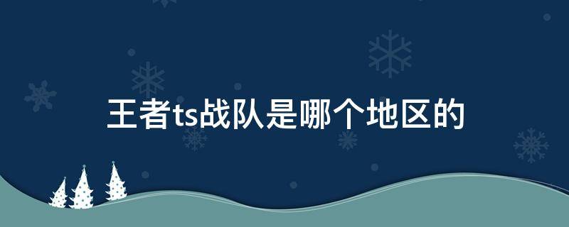 王者ts战队是哪个地区的 ts战队哪个省