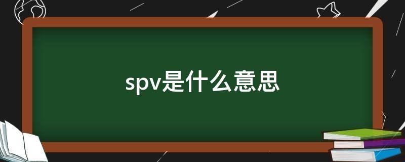 spv是什么意思（spring是什么意思）