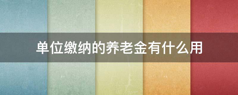 单位缴纳的养老金有什么用 单位交的养老险有用吗?