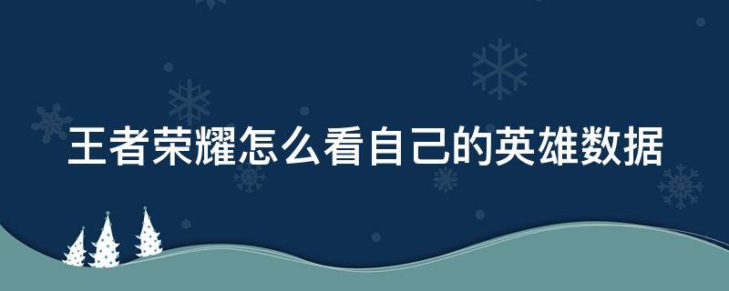 王者榮耀怎么看自己的英雄數(shù)據(jù)（王者榮耀怎么看自己的英雄數(shù)據(jù)圖）