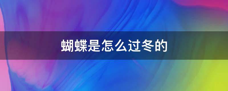 蝴蝶是怎么过冬的 蝴蝶是怎么过冬的教案