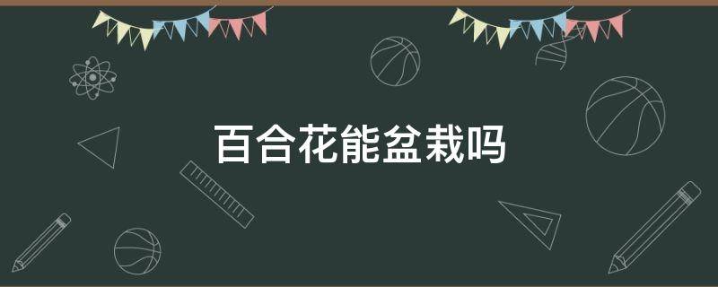 百合花能盆栽吗 百合花怎么养 盆栽