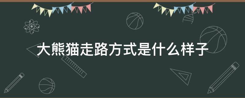 大熊貓走路方式是什么樣子 大熊貓走路是什么樣子的