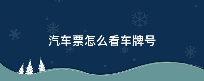 汽车票怎么看车牌号 汽车票上怎么看车牌号