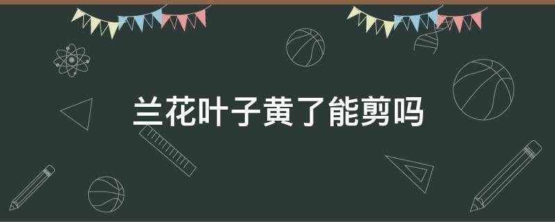 兰花叶子黄了能剪吗 兰花黄叶怎么修剪