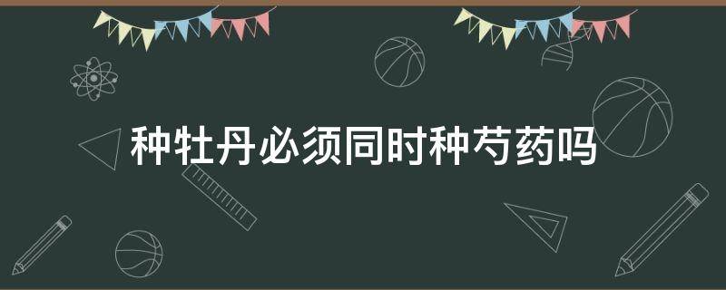 種牡丹必須同時種芍藥嗎 牡丹和芍藥能栽在一起嗎?