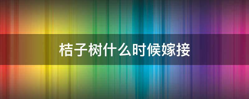 桔子树什么时候嫁接 桔子树什么时候嫁接视频