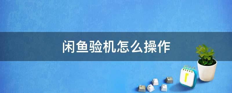 閑魚驗(yàn)機(jī)怎么操作 閑魚驗(yàn)機(jī)怎么弄