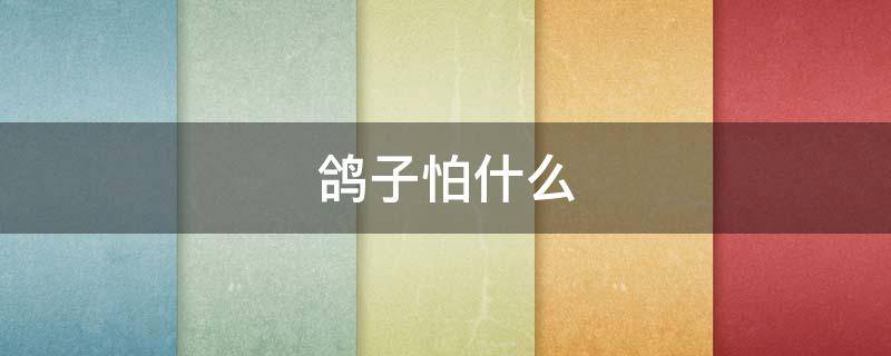 鸽子怕什么（鸽子怕什么怎样能驱散）