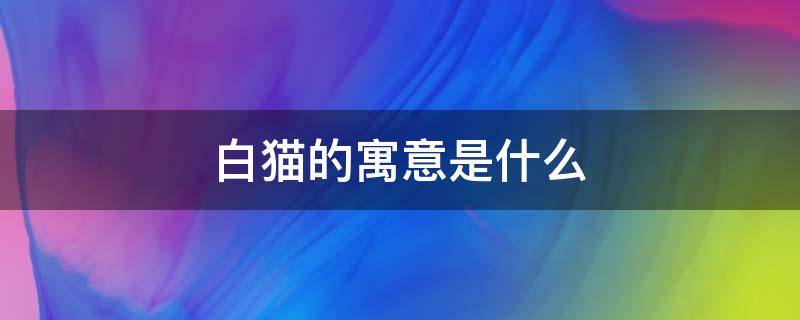 白猫的寓意是什么 白猫的象征