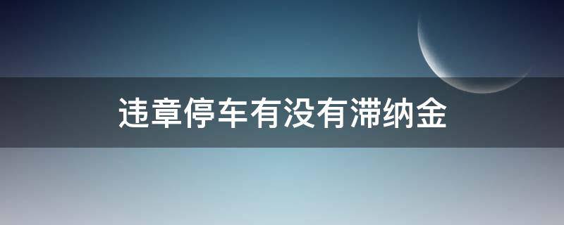 违章停车有没有滞纳金（违章停车为什么有滞纳金）