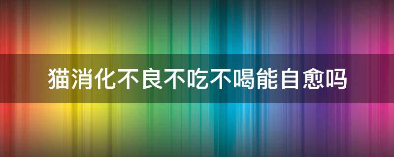 猫消化不良不吃不喝能自愈吗 猫消化不良不吃饭怎么办