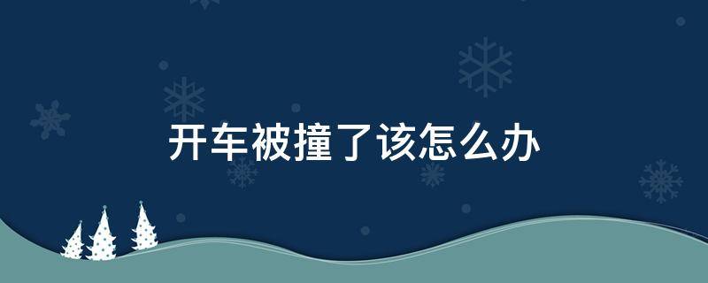 开车被撞了该怎么办（开车不小心撞到车了怎么办）