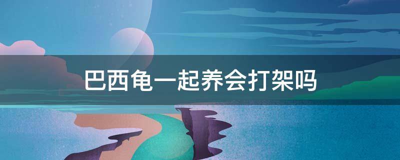 巴西龜一起養(yǎng)會(huì)打架嗎（巴西龜放在一起會(huì)打架嗎）