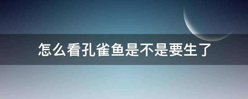 怎么看孔雀鱼是不是要生了 怎么判断孔雀鱼是不是要生了?