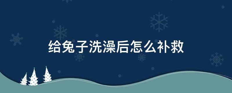 给兔子洗澡后怎么补救 不小心给兔子洗澡了怎么办