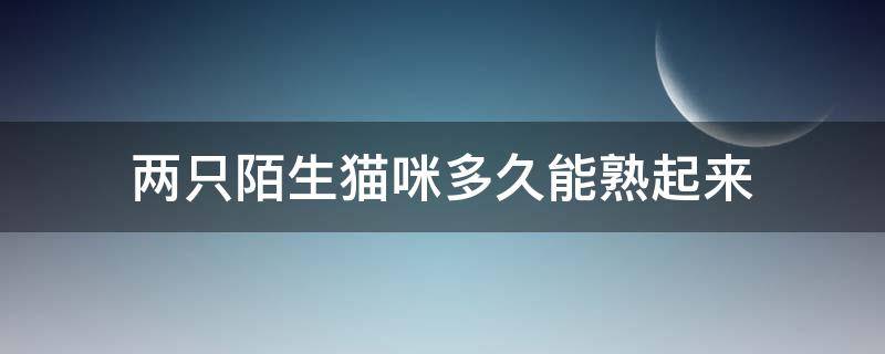 兩只陌生貓咪多久能熟起來（兩只貓貓多久才能熟悉）